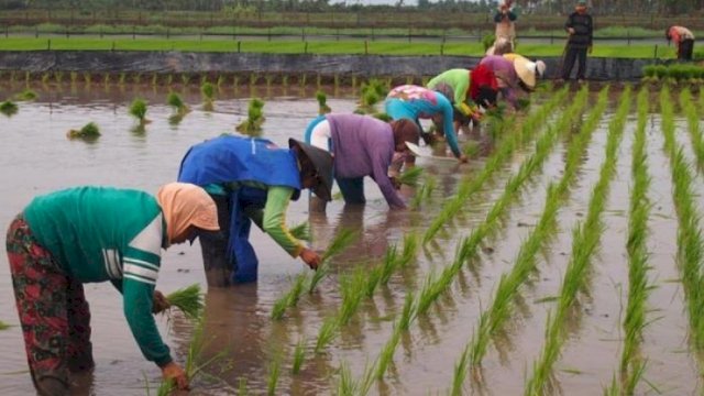 Komisi IV Dorong Penambahan Anggaran di Kementan