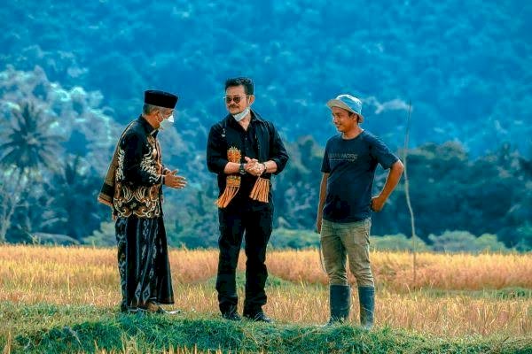 Pengamat: Indonesia Sukses Tingkatkan Produktivitas Padi dan Jagung