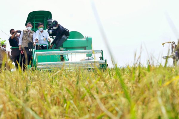 Kementan Genjot Produksi Padi Provinsi Lampung Lewat Gerakan IP400