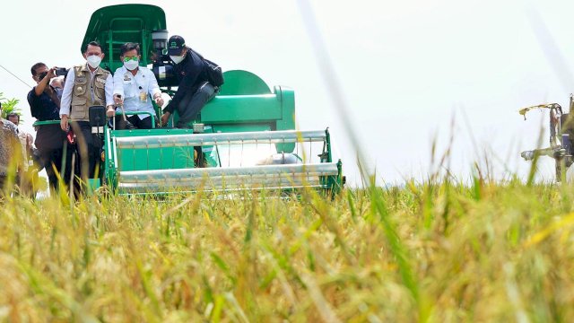 Kementan Genjot Produksi Padi Provinsi Lampung Lewat Gerakan IP400.