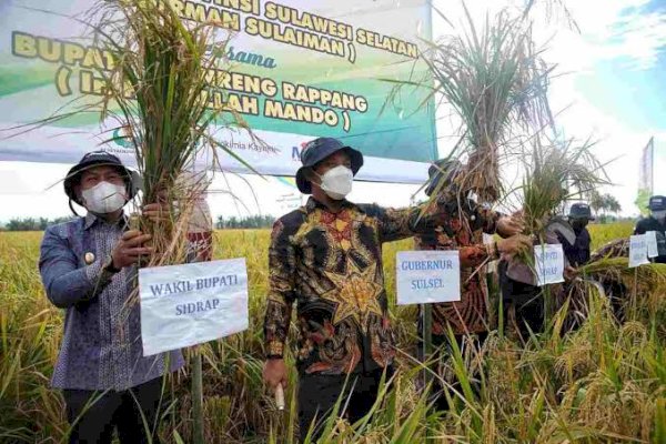 Ekonomi Sulsel Tumbuh, Gubernur: Alhamdulillah, Sektor Pertanian Berperan Besar