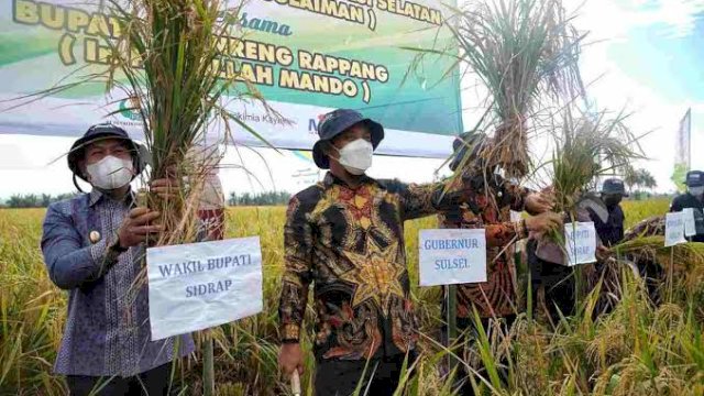 Ekonomi Sulsel Tumbuh, Gubernur: Alhamdulillah, Sektor Pertanian Berperan Besar