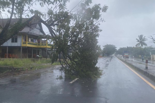 Waspada! Akibat Angin Kencang, Banyak Pohon Tumbang di Jalan Poros Pangkep-Barru Sulsel