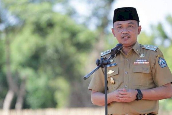 Bantaeng Jadi Inspirasi Daerah Lain pada Healthy Cities Summit 2022