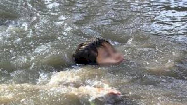 Ilustrasi tenggelam di Sungai.(F-INT)