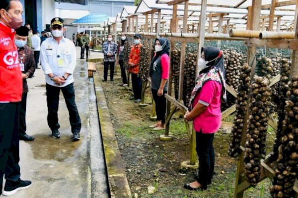 Pinang Menjadi Peluang Usaha yang Menjanjikan