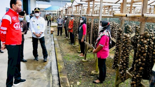 Pinang Menjadi Peluang Usaha yang Menjanjikan