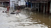 Banjir Rob Pemalang Rendam 8 Desa, BMKG Prediksi Masih Akan Terjadi Hujan, Waspada!