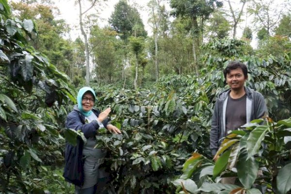 Kementan Berkomitmen Bantu Petani Kopi Rejang Lebong