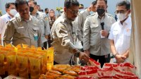 KTNA: Produksi Jagung Nasional Mampu Penuhi Kebutuhan Pakan