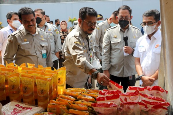 KTNA: Produksi Jagung Nasional Mampu Penuhi Kebutuhan Pakan