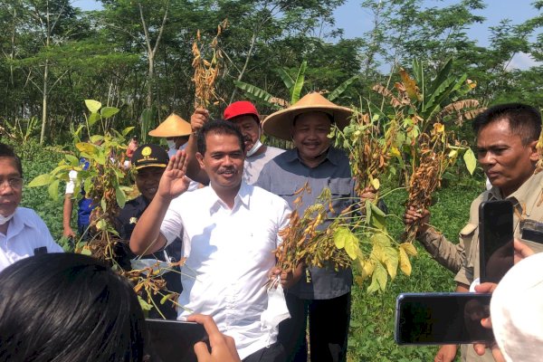 Kementan Terus bergerak, Lakukan Panen kedelai di Sukoharjo dan Sosialisasi Pupuk Organik Hayati