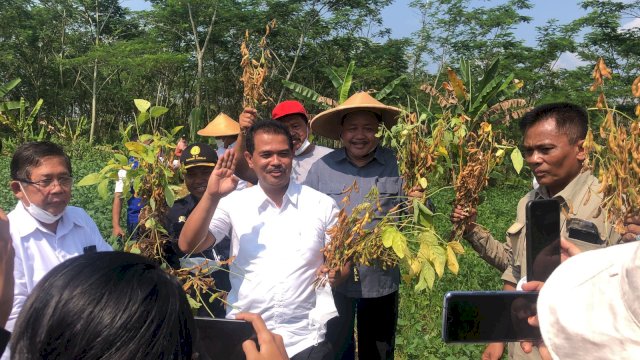 Kementan Terus bergerak, Lakukan Panen kedelai di Sukoharjo dan Sosialisasi Pupuk Organik Hayati.