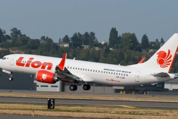 Tabrak Burung, Penerbangan Lion Air Surabaya-Makassar Dialihkan