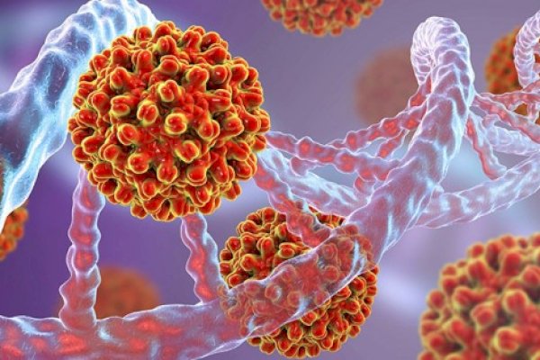 Waspada! Hepatitis Misterius Menular Lewat Makanan Masuk ke Mulut