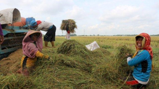 Kementan-Bulog Serap Gabah di Ngawi.(F-INT)