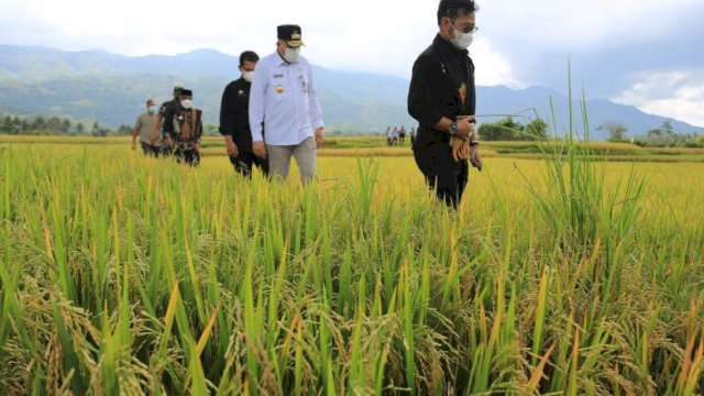 Muhammadiyah Apresiasi Ketangguhan Sektor Pertanian Indonesia