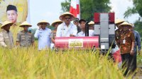 NTP Desember 2022 Meningkat, Kenaikan Harga Gabah Berdampak Terhadap Kesejahteraan Petani