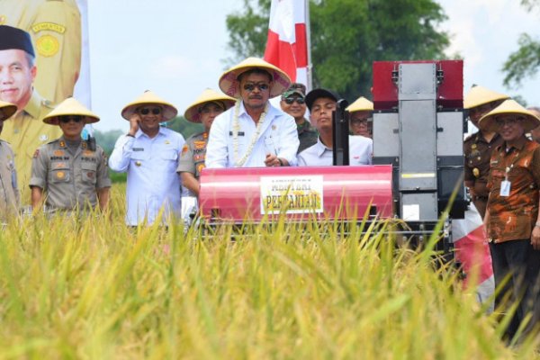 NTP Desember 2022 Meningkat, Kenaikan Harga Gabah Berdampak Terhadap Kesejahteraan Petani