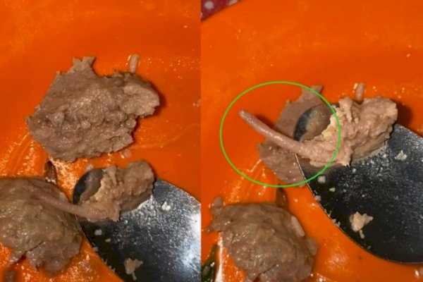 Hati-Hati, Di Karawang Diduga Ada Bakso ‘Tikus’: Terpaksa Dimuntahin Semua sampai Perut Kosong