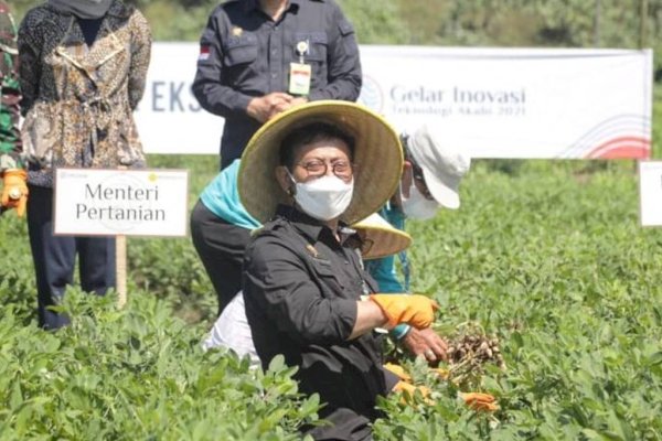 Kurun 3 Tahun Kinerja Sektor Pertanian Mengkilap Berkat Jurus 5 Cara Bertindak