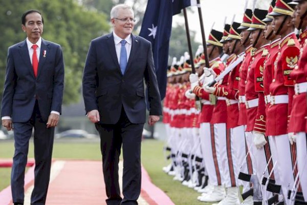 Tanpa Masker, Jokowi Terima Kunjungan PM Australia Terpilih Anthony Albanese di Istana Bogor