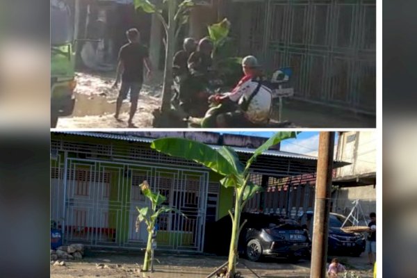 Lapor Pak Bupati Sidrap! ‘Kami Tanam Pohon Pisang di Tengah Jalan Rusak, Karena Tak Kunjung Diperbaiki