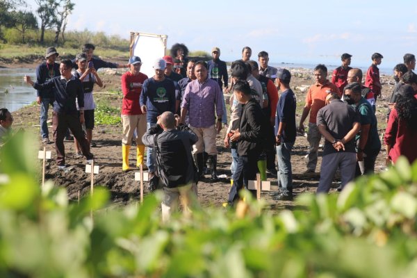 Hari Lingkungan Hidup Sedunia, Sungai Nipa-nipa Ditanami 1.000 Bibit Mangrove