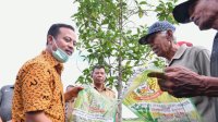 Di Bulukumba, Gubernur Andi Sudirman Tinjau Sawah yang Tanam &lsquo;Mandiri Benih&rsquo; di Lahan Pertanian Warga