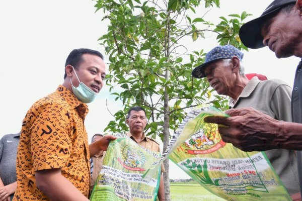 Di Bulukumba, Gubernur Andi Sudirman Tinjau Sawah yang Tanam ‘Mandiri Benih’ di Lahan Pertanian Warga