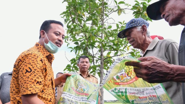 Di Bulukumba, Gubernur Andi Sudirman Tinjau Sawah yang Tanam &lsquo;Mandiri Benih&rsquo; di Lahan Pertanian Warga