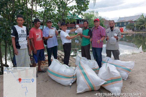 DKP Sulsel Salurkan Bantuan Benur Udang di Kabupaten Maros