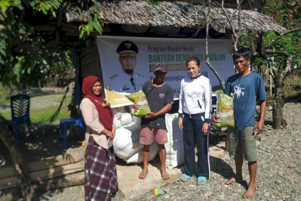 1000 hektar lahan di Luwu Dapat Bantuan Benih Andalan ‘Mandiri Benih’