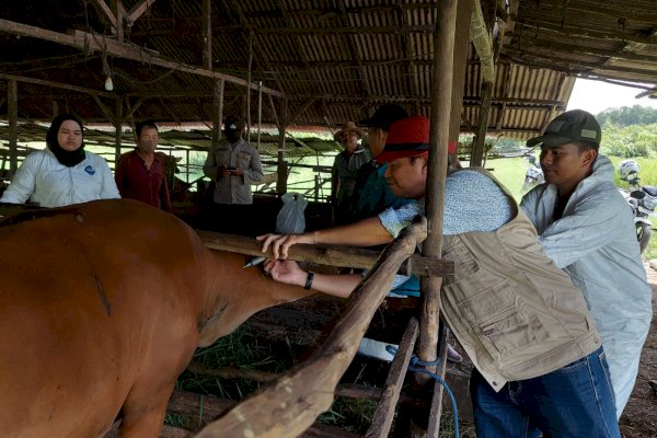 Terima Vaksin PMK, Gubernur Kalsel Apresiasi Keseriusan Kementan