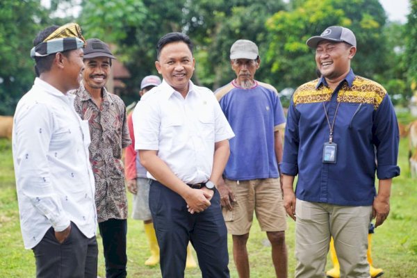 Program Asuransi Ternak, Ilham Azikin Harap Sektor Peternakan Semakin Menggeliat