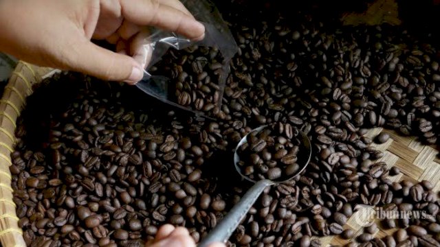 Kementan Dorong Generasi Milenial Bangun Agribisnis Kopi Indonesia Hingga Pasar Dunia.(F-INT)