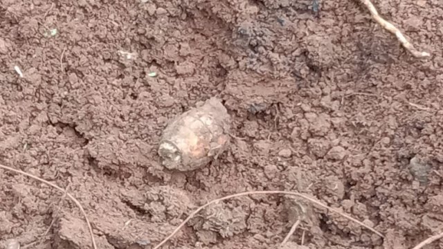 Ilustrasi Granat.(F-INT)