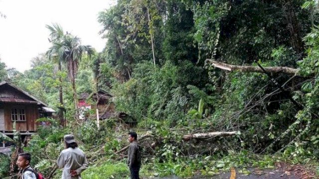 Ilustrasi Longsor dan Pohon Tumbang Tutup Jalan Trans Palopo–Toraja Sulsel.(F-INT)