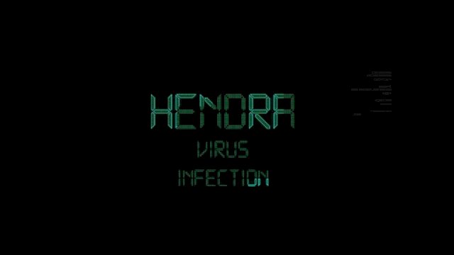 Virus Hendra.(F-INT)