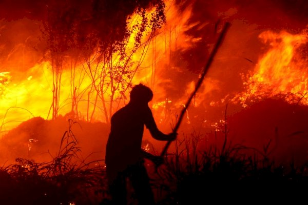 Nahas, Seorang Warga Tewas Terbakar Hidup-hidup Saat Coba Padamkan Kebakaran Lahan