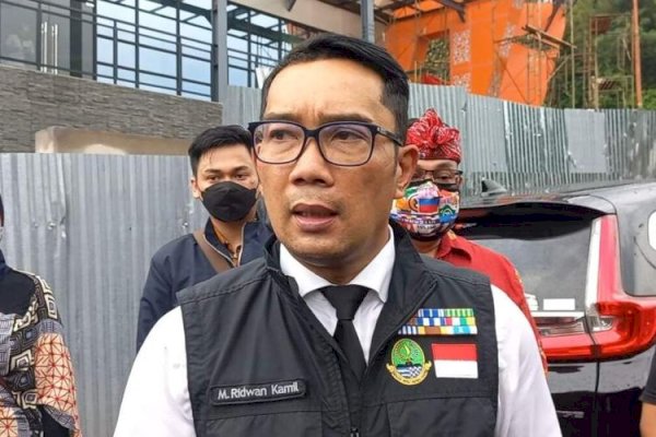 Ada Bocah SD Meninggal Dipaksa Temannya Setubuhi Kucing Sambil Direkam, Ridwan Kamil: Harus Diberi Pelajaran