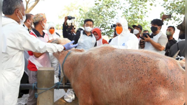 Wujudkan Jateng Zero PMK, Mentan SYL Tinjau Vaksinasi di Grobogan: Saya Berkomitmen dengan Pak Gubernur