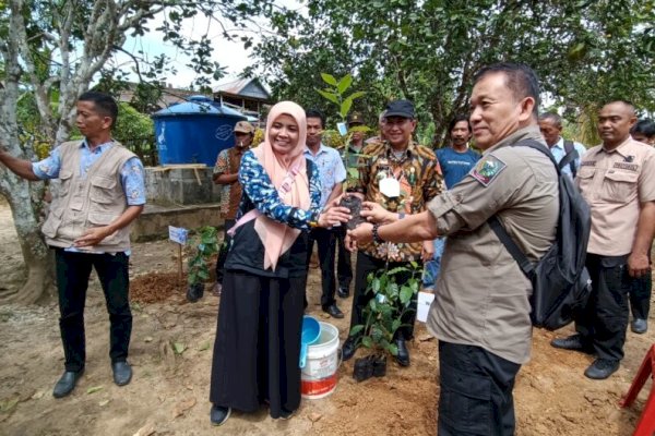 Mallawa jadi Kota Penghasil Kopi Andalan di Maros, Wabup Suhartina Bohari: Setiap Desa Harus Punya 1 Komoditas Unggulan