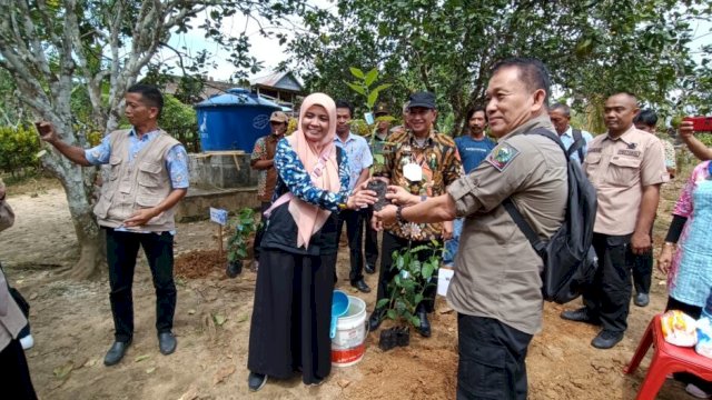 Wabup Maros Suhartina Bohari salurkan bantuan benih kopi ke Para Petani.(F-INT)