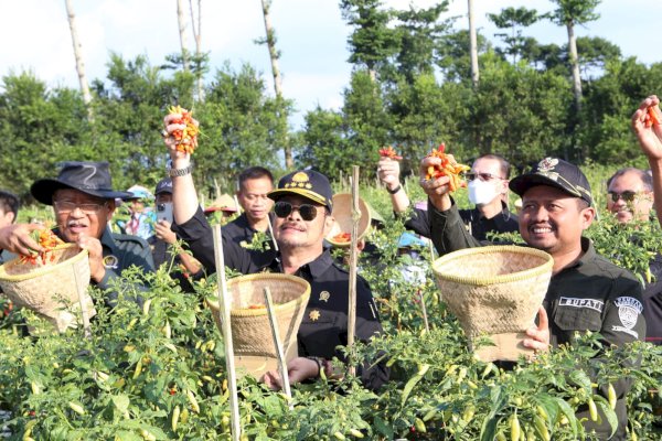 Perppu Cipta Kerja Mudahkan Pelaku Usaha Sektor Pertanian Mendapatkan Izin Usaha