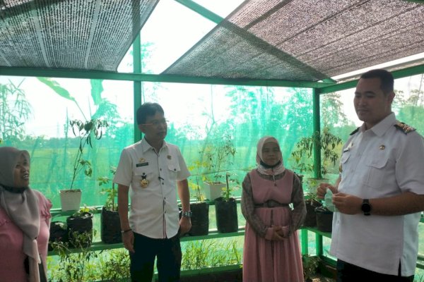 Patut Dicontoh, KWT Massenge Pangkep Tingkatkan Ekonomi Keluarga dari P2L