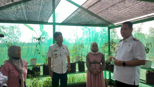 Patut Dicontoh, KWT Massenge Pangkep Tingkatkan Ekonomi Keluarga dari P2L