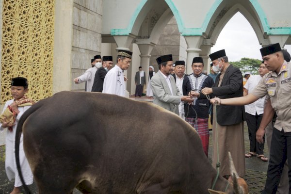 Bupati Luwu Basmin Mattayang: Teladani Pengorbanan dan Kesabaran Nabi Ibrahim As