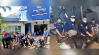 Idul Adha-Bertepatan HUT ke 11, Garda Pemuda NasDem Sulsel Kurban 2 Ekor Sapi, Sebar ke Kader dan Fakir Miskin