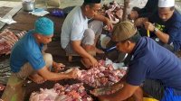 Hari Raya Idul Adha 1443 H, DPD NasDem Luwu Timur Kurban Enam Sapi di Empat Lokasi